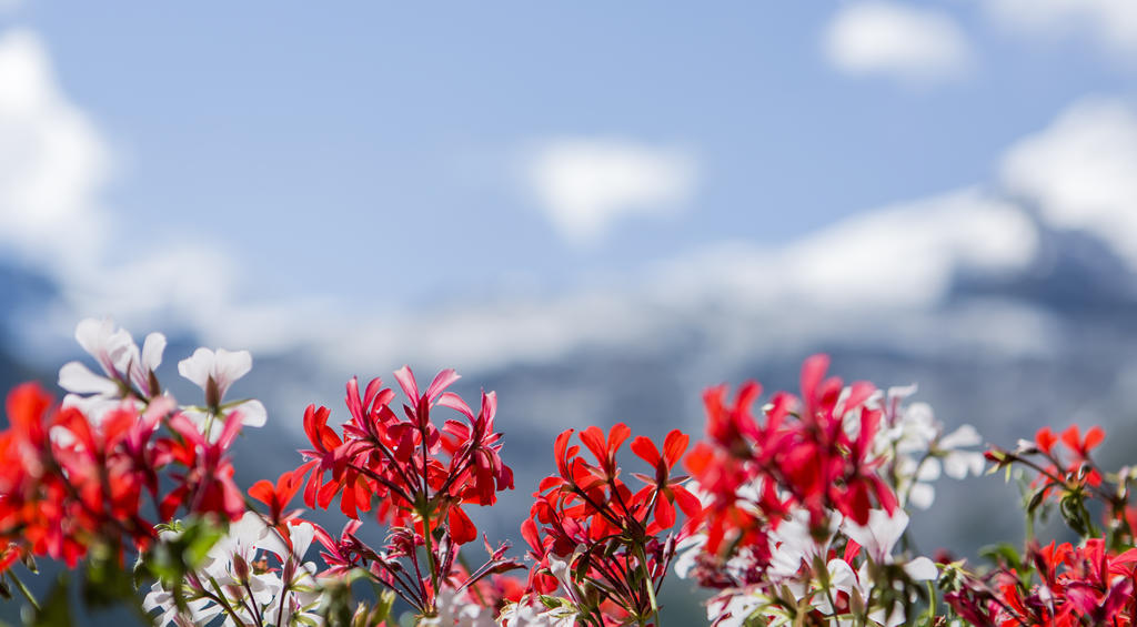 Artemis Easy Stay Self Check In-Out Saas-Fee Exterior foto