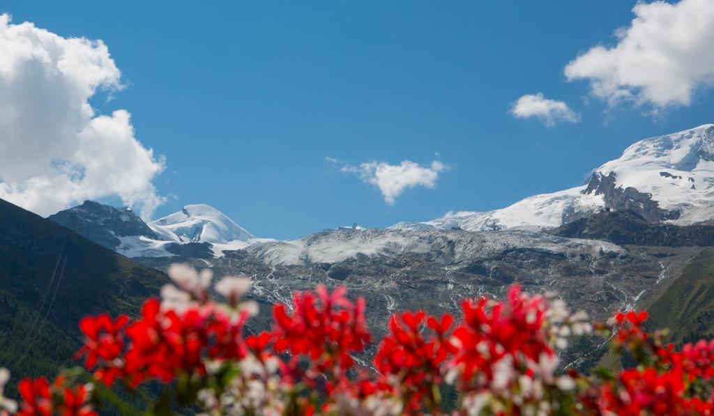Artemis Easy Stay Self Check In-Out Saas-Fee Quarto foto